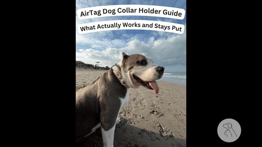 AirTag Dog Collar Holder Guide: What Actually Works and Stays Put - Paws & Whiskers - Dog Protection Gear