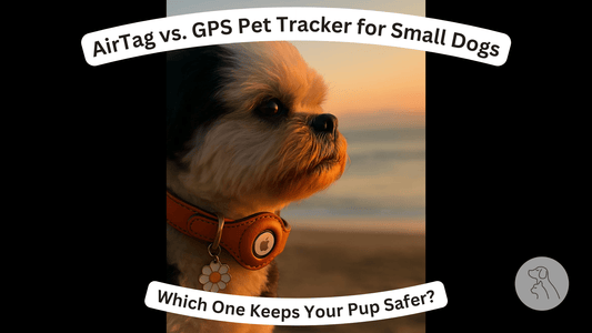 AirTag vs. GPS Pet Tracker for Small Dogs: Which One Keeps Your Pup Safer? - Paws & Whiskers - Dog Protection Gear