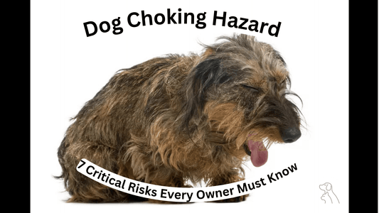 Dog Choking Hazard: 7 Critical Risks Every Owner Must Know - Paws & Whiskers - Dog Protection Gear