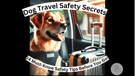 Dog Travel Safety Secrets: 14 Must-Know Safety Tips Before You Go! - Paws & Whiskers - Dog Protection Gear