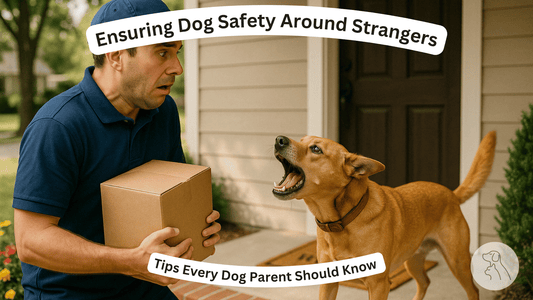 Ensuring Dog Safety Around Strangers: Tips Every Dog Parent Should Know - Paws & Whiskers - Dog Protection Gear