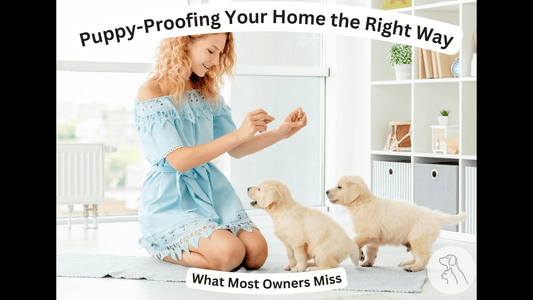 Puppy Proofing Your Home the Right Way: What Most Owners Miss - Paws & Whiskers - Dog Protection Gear