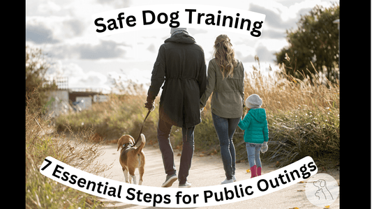 Safe Dog Training: 7 Essential Steps for Public Outings - Paws & Whiskers - Dog Protection Gear