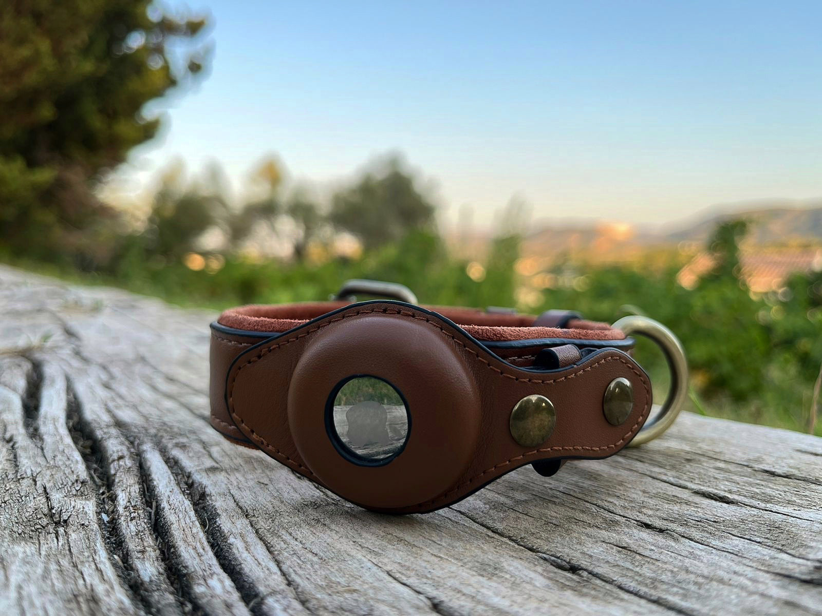 brown leather airtag dog collar outside