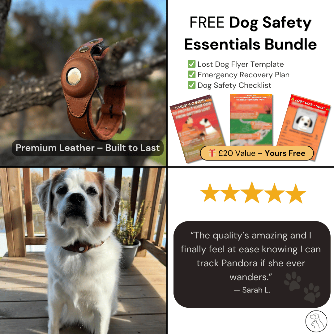 Leather AirTag Dog Collar