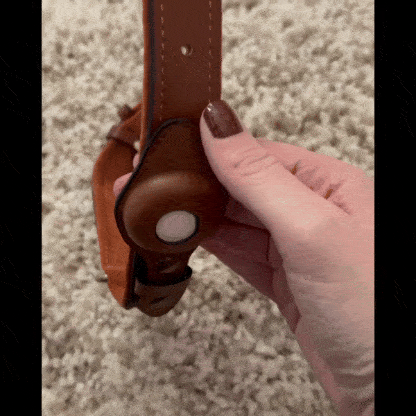 brown leather airtag dog collar