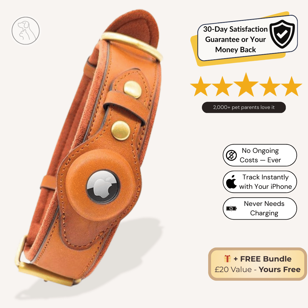 Leather AirTag Dog Collar