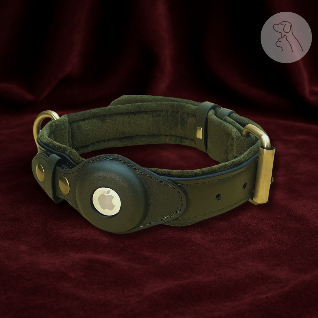 Leather AirTag Dog Collar - Paws & Whiskers - Dog Protection Gear