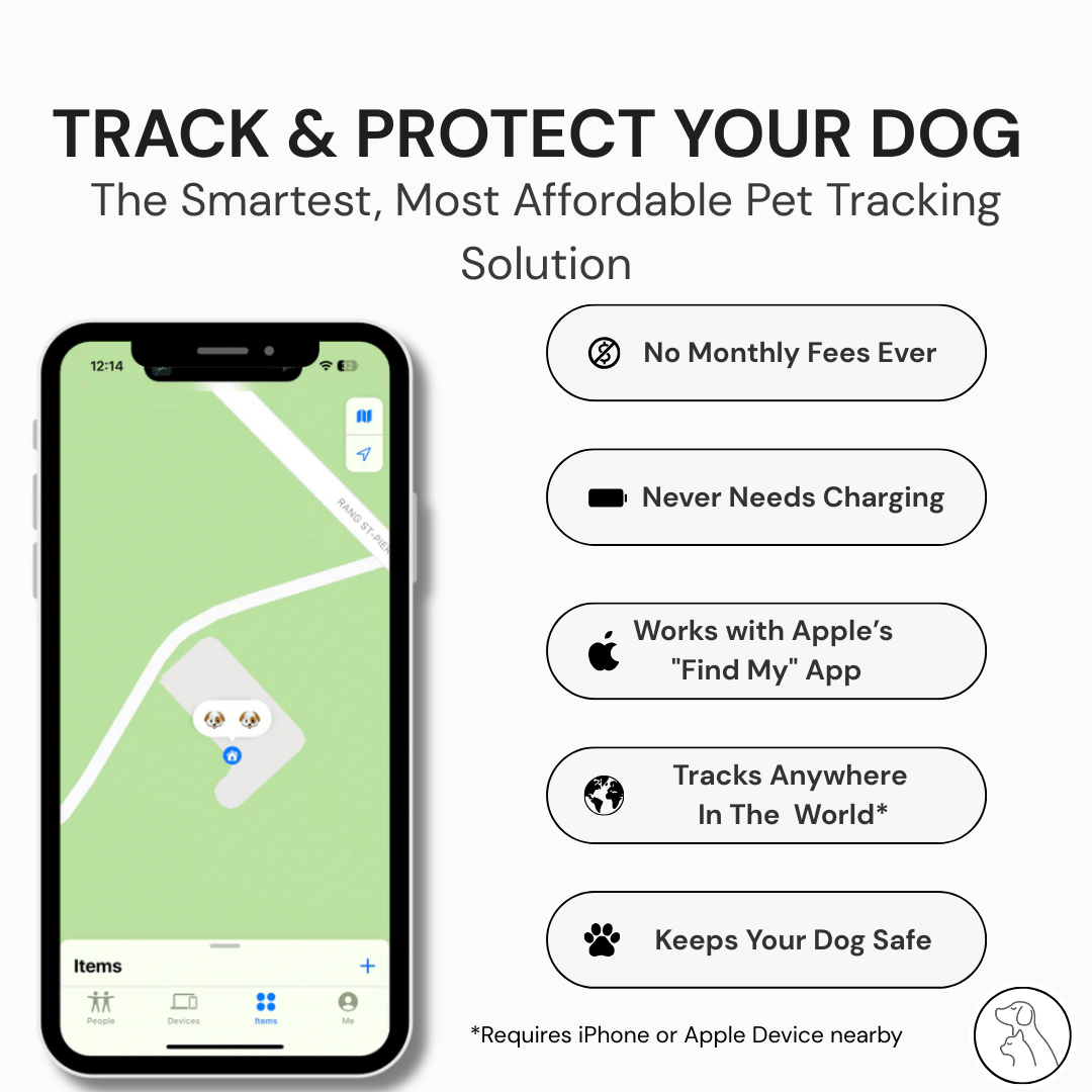 Leather AirTag Dog Collar - Paws & Whiskers - Dog Protection Gear