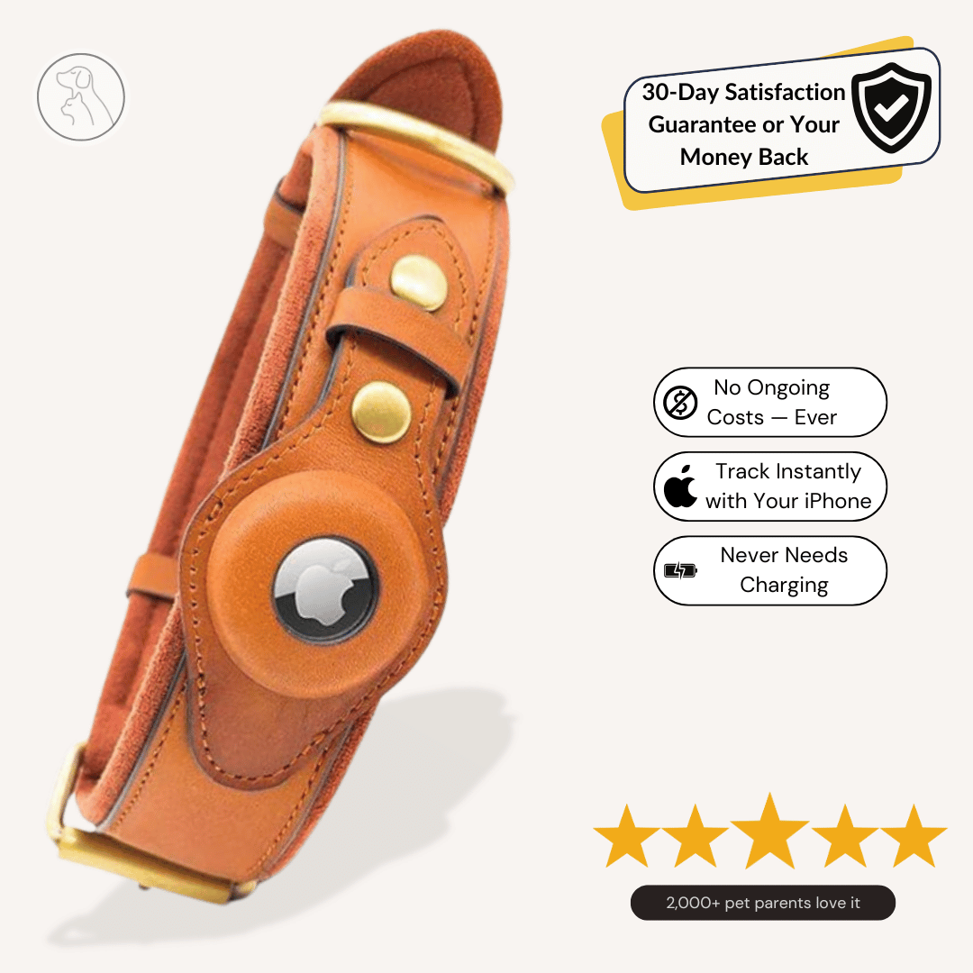 Leather AirTag Dog Collar - Paws & Whiskers - Dog Protection Gear
