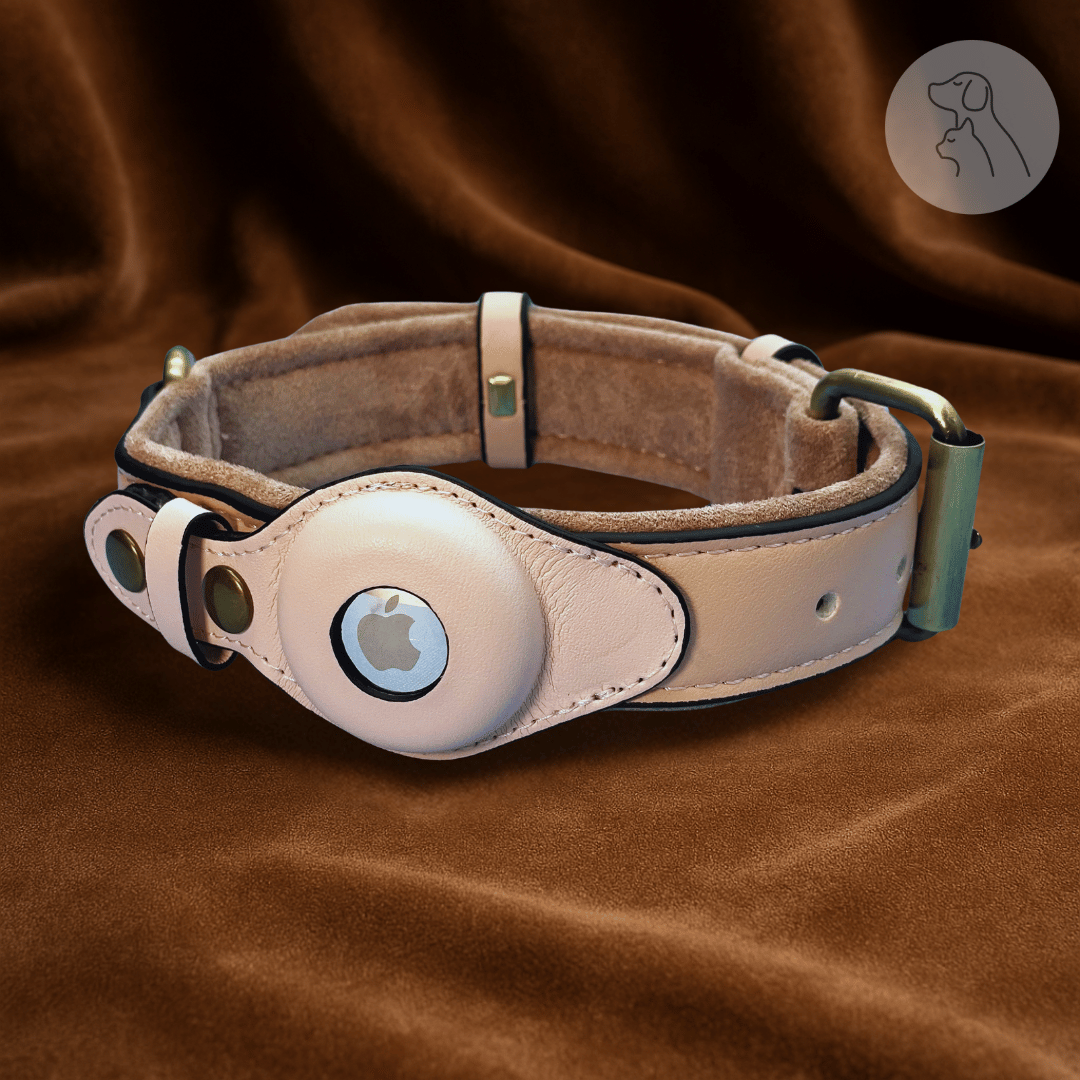 Leather AirTag Dog Collar - Paws & Whiskers - Dog Protection Gear