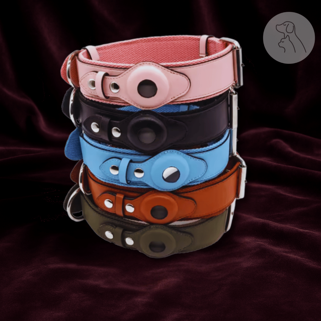 Leather AirTag Dog Collar - Paws & Whiskers - Dog Protection Gear
