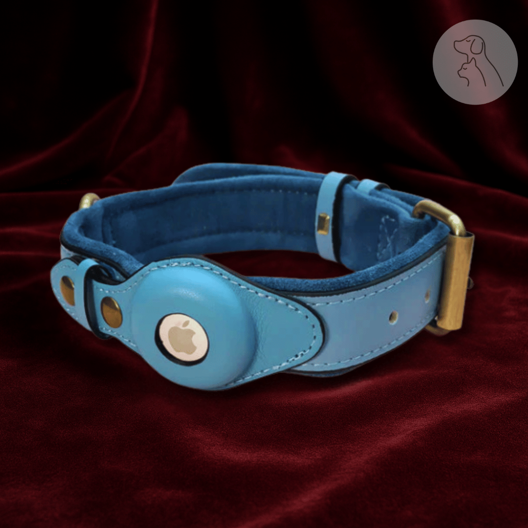 Leather AirTag Dog Collar - Paws & Whiskers - Dog Protection Gear
