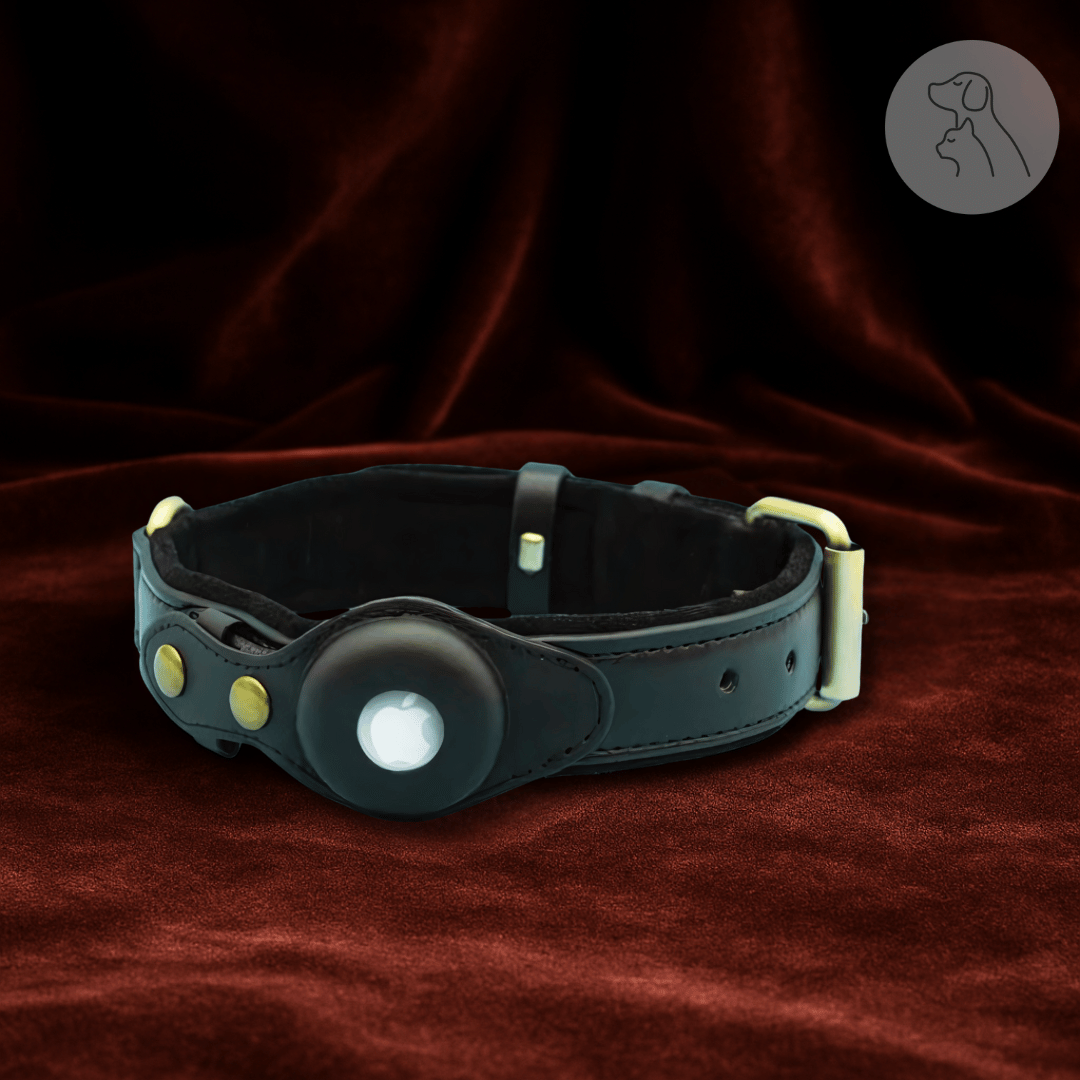 Leather AirTag Dog Collar - Paws & Whiskers - Dog Protection Gear