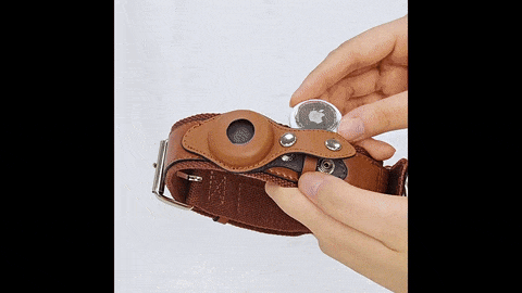 leather airtag dog collar showcase2
