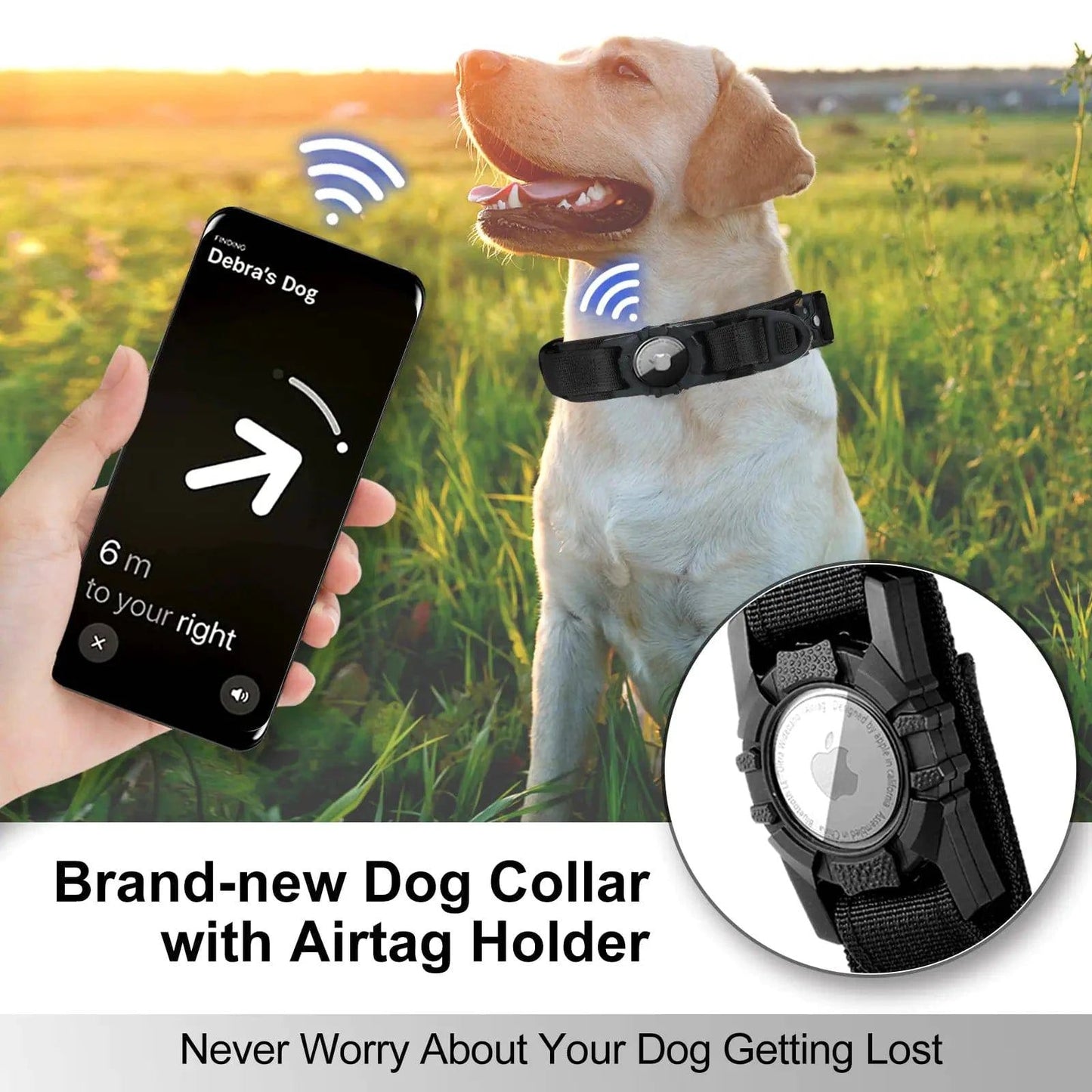 P&W Tactical AirTag Collar - Paws & Whiskers - Dog Protection Gear