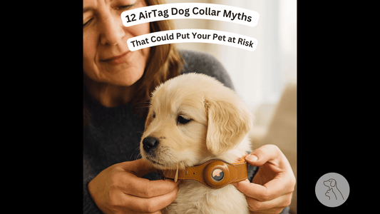 12 AirTag Dog Collar Myths That Could Put Your Pet at Risk - Paws & Whiskers - Dog Protection Gear