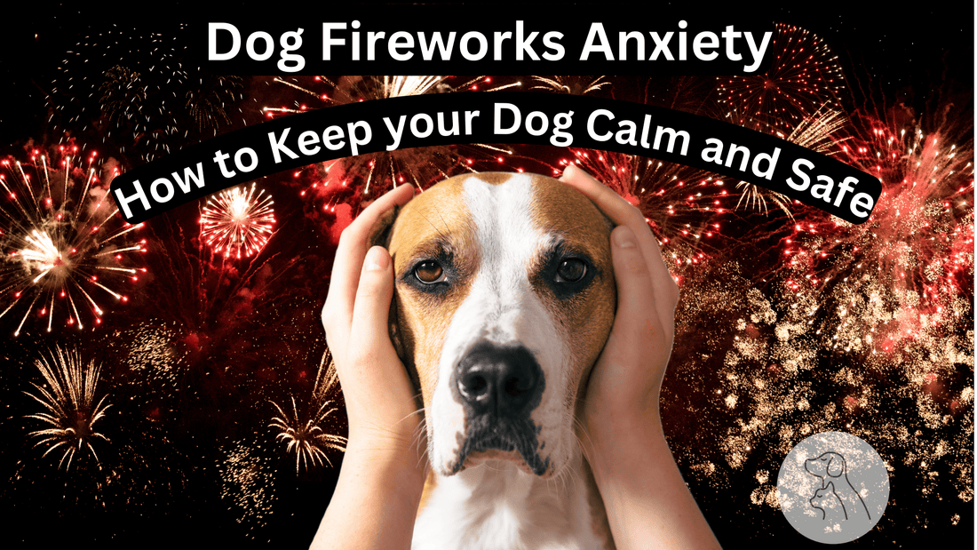 Dog Fireworks Anxiety: How to Keep Your Dog Calm & Safe - Paws & Whiskers - Dog Protection Gear