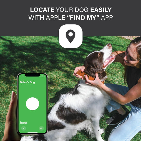 How to Track Your Dog with AirTag: A Comprehensive Guide - Paws & Whiskers