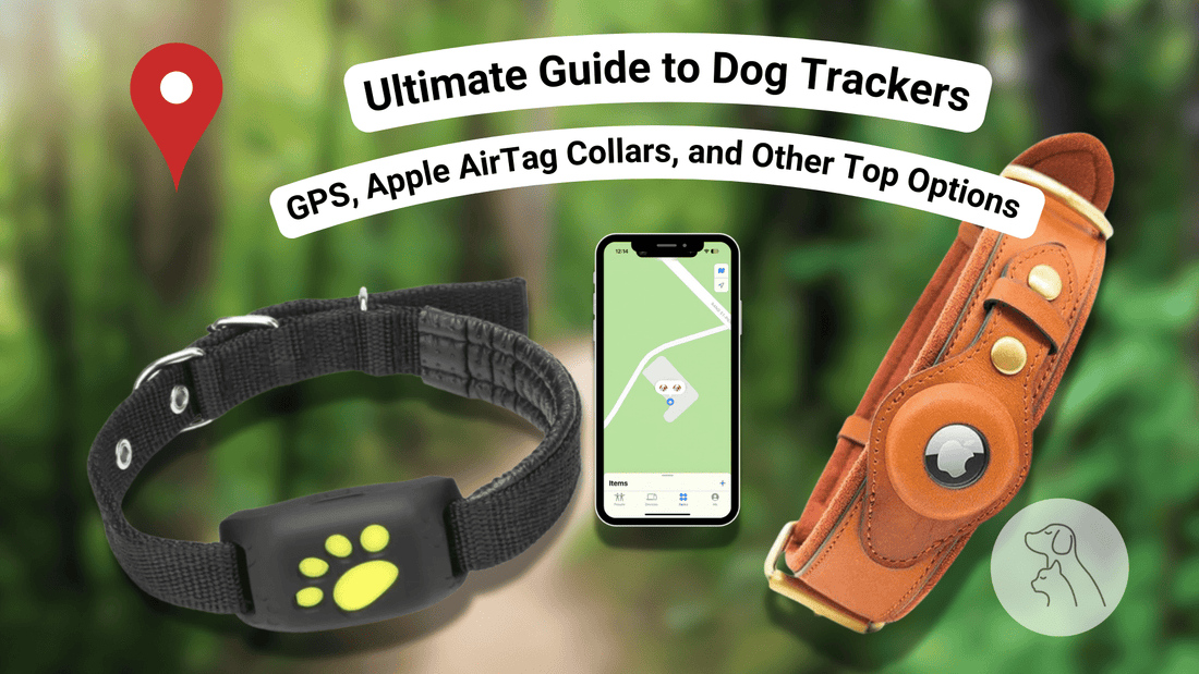 Ultimate Guide to Dog Trackers: GPS, Apple AirTag Collars, and Other Top Options - Paws & Whiskers - Dog Protection Gear