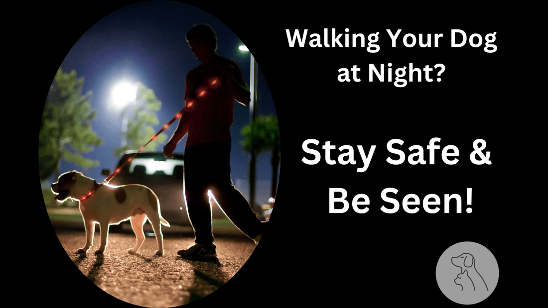 Walking Your Dog at Night: Safety Tips & Essential Gear - Paws & Whiskers - Dog Protection Gear