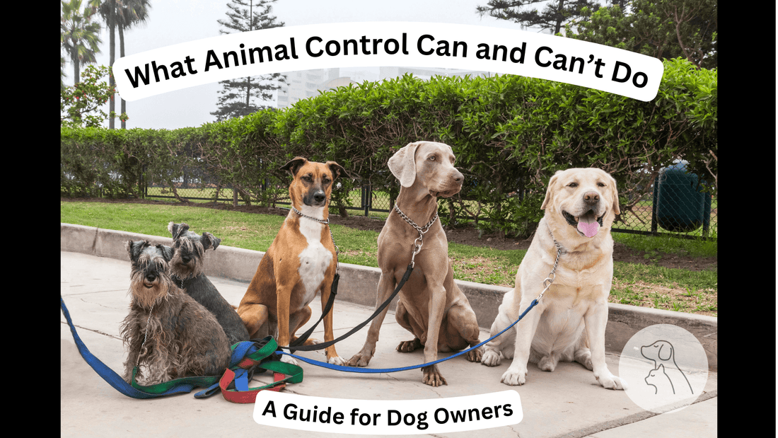 What Animal Control Can and Can’t Do: A Dog Owner’s Guide to Keeping Your Pup Safe - Paws & Whiskers - Dog Protection Gear