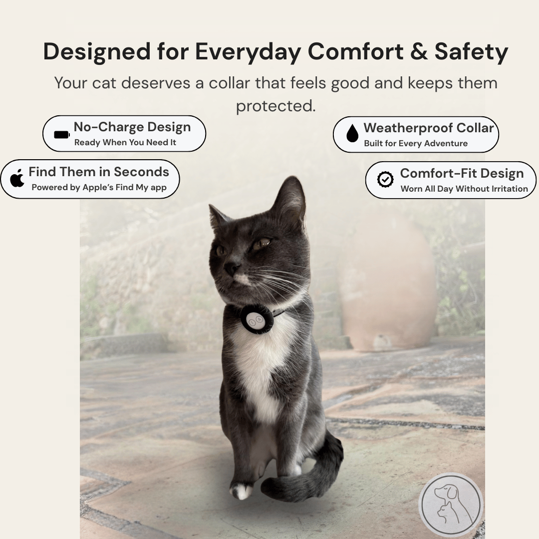 AirTag Cat Collar - Paws & Whiskers - Dog Protection Gear