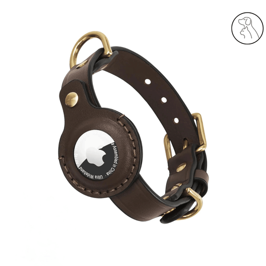 AirTag Dog Collar - for Small Dogs and Cats - Paws & Whiskers - Dog Protection Gear