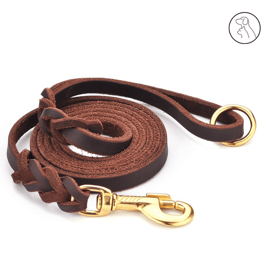 Durable Genuine Leather Dog Leash - Long Lasting Comfort and Style - Paws & Whiskers - Dog Protection Gear