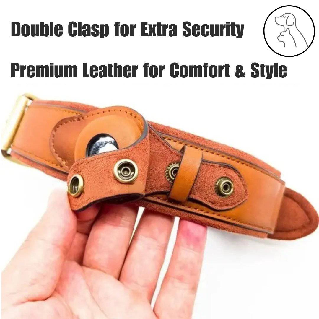 Leather AirTag Dog Collar - Secure, Stylish & Durable - Paws & Whiskers