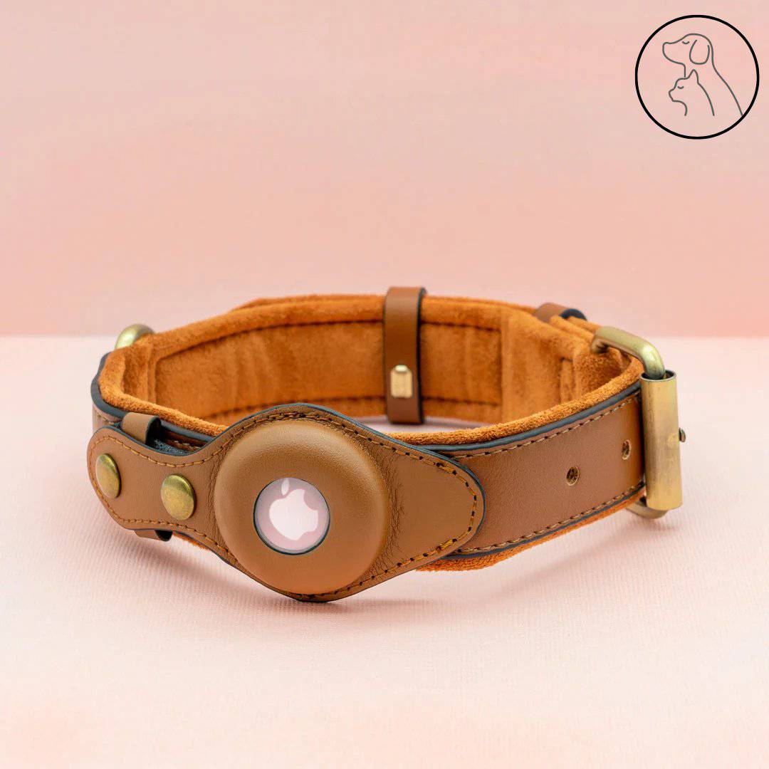 Leather AirTag Dog Collar - Secure, Stylish & Durable - Paws & Whiskers