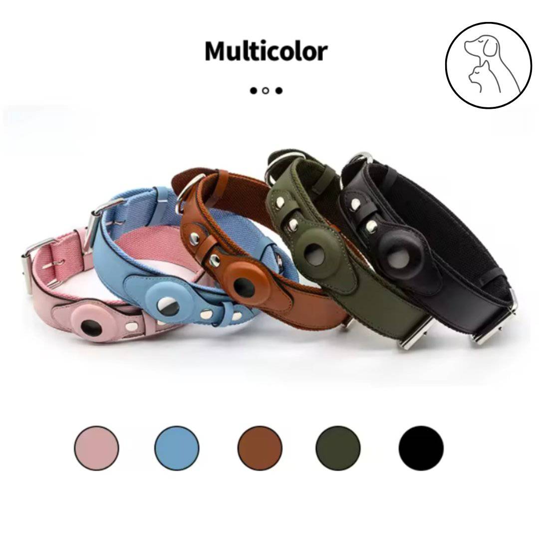 Leather AirTag Dog Collar - Secure, Stylish & Durable - Paws & Whiskers