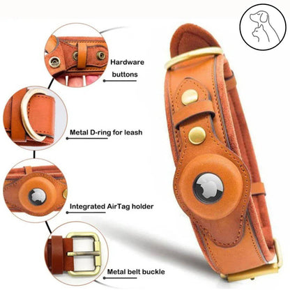 Leather AirTag Dog Collar - Secure, Stylish & Durable - Paws & Whiskers