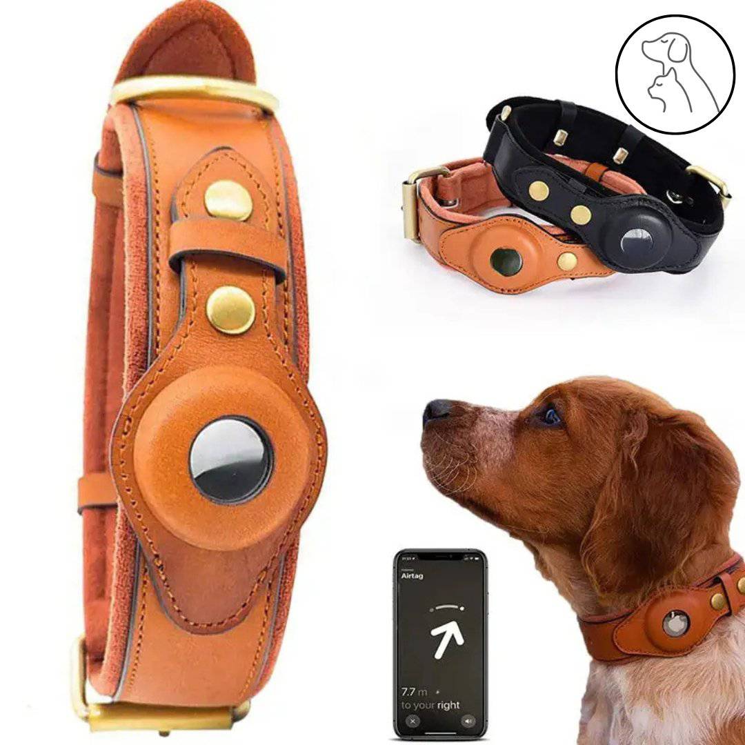 Leather AirTag Dog Collar - Secure, Stylish & Durable - Paws & Whiskers