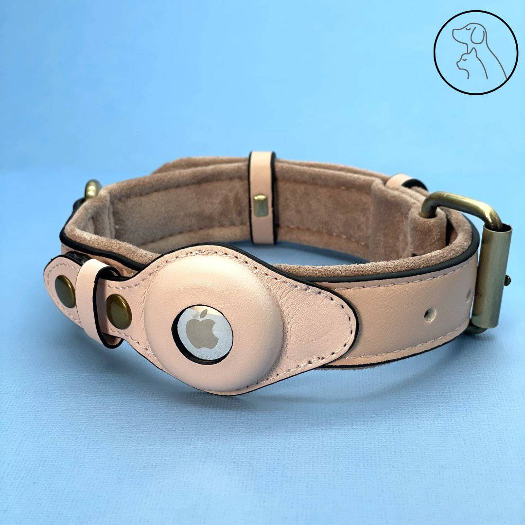 Leather AirTag Dog Collar - Secure, Stylish & Durable - Paws & Whiskers