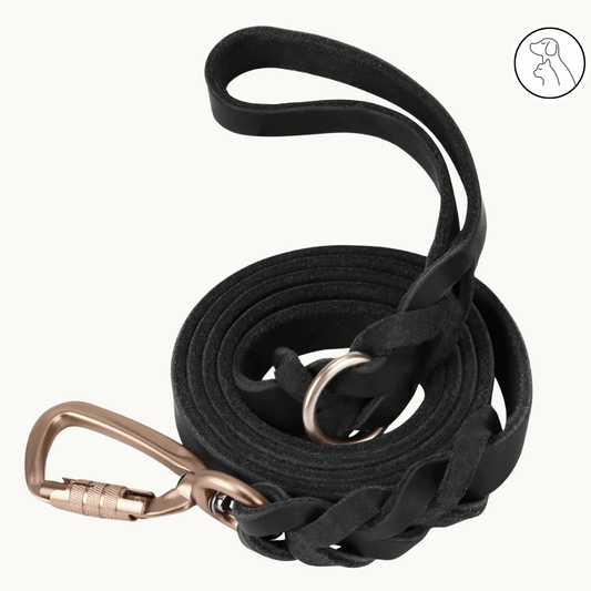 Leather Dog Leash 6ft - Paws & Whiskers - Dog Protection Gear