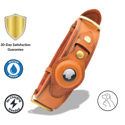 Premium Leather AirTag Dog Collar – Track Your Dog Instantly - Paws & Whiskers - Dog Protection Gear