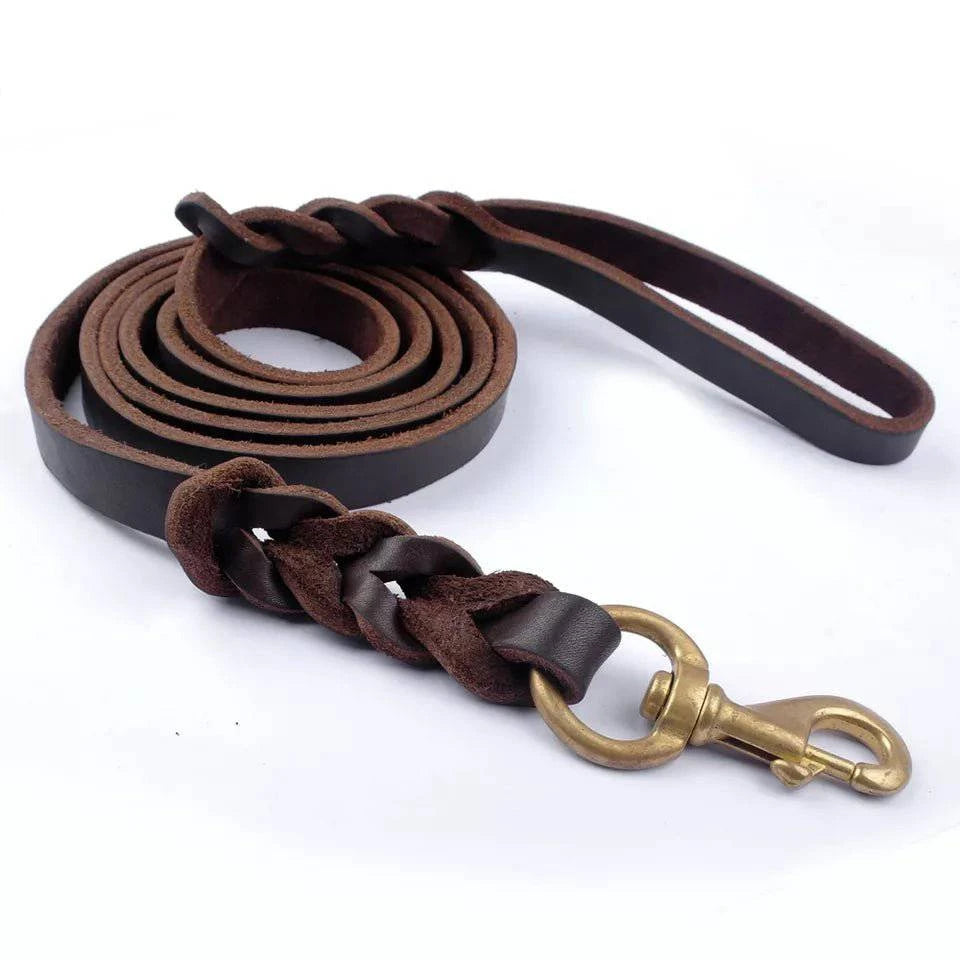 P&W Leather Leash - Paws & Whiskers