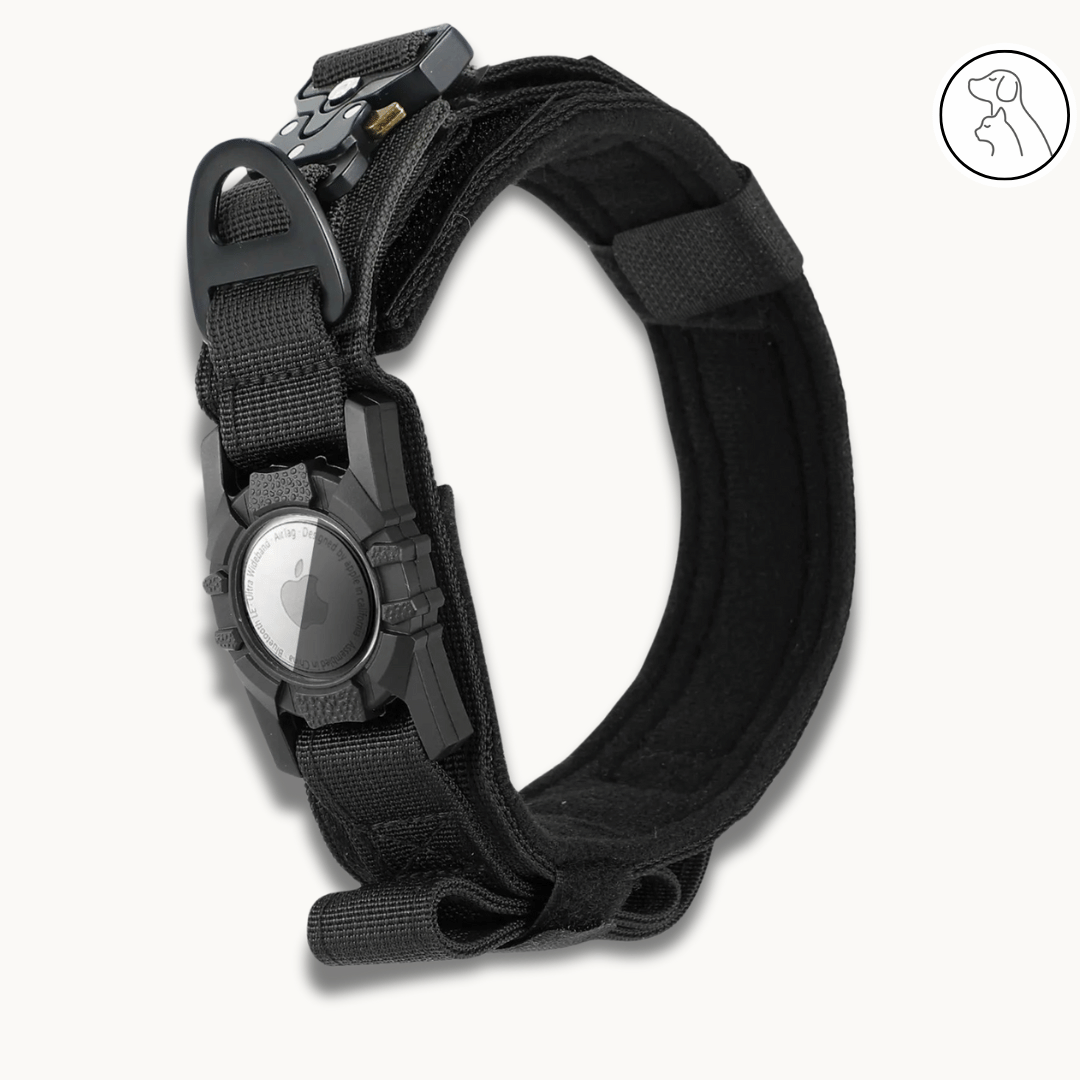 P&W Tactical AirTag Collar - Paws & Whiskers - Dog Protection Gear